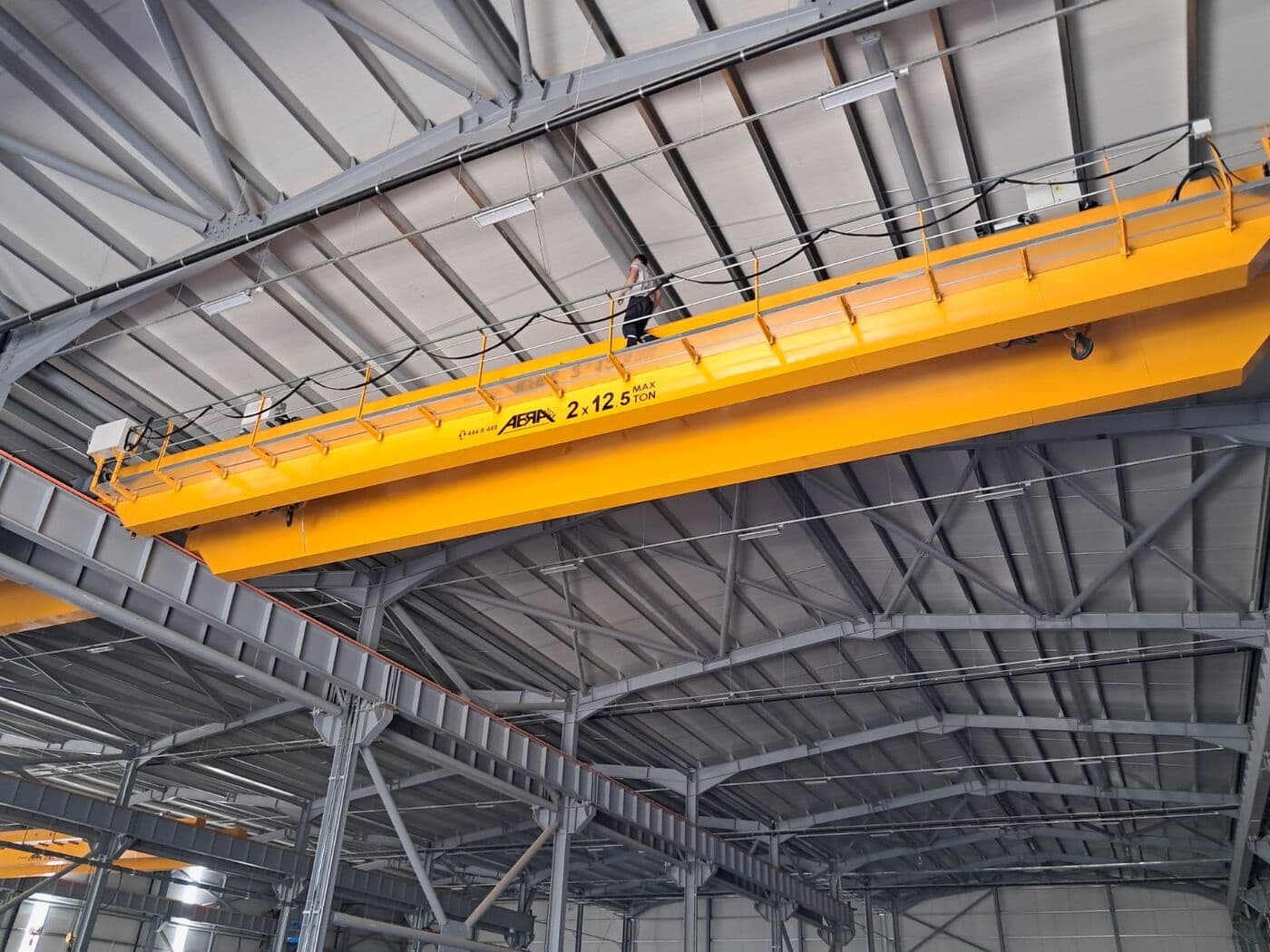ABRA automated overhead crane system in a packaging plant